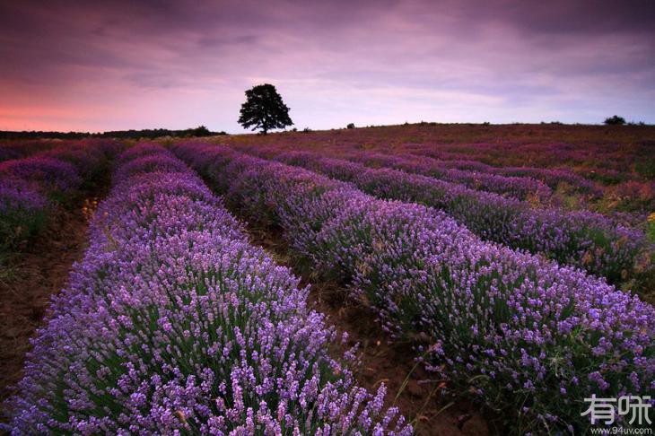 2016最值得旅游的国家排行榜 - 海峡之声网-